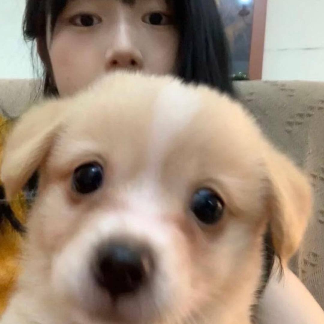 小漂亮
