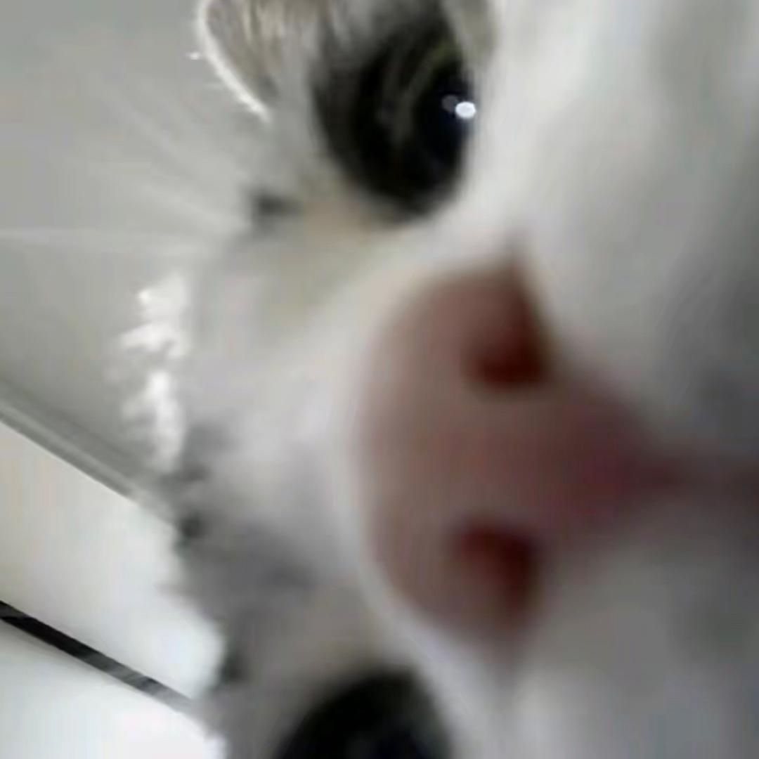 ^ie