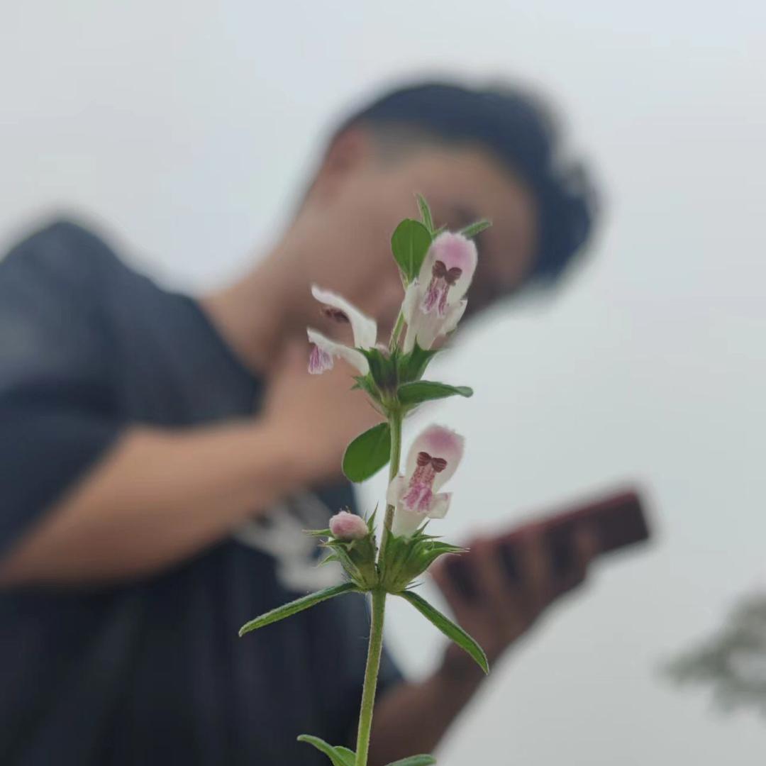 讲不出再见