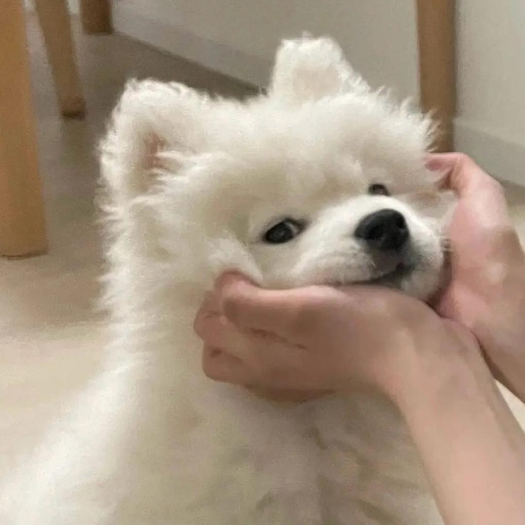 暴打柠檬
