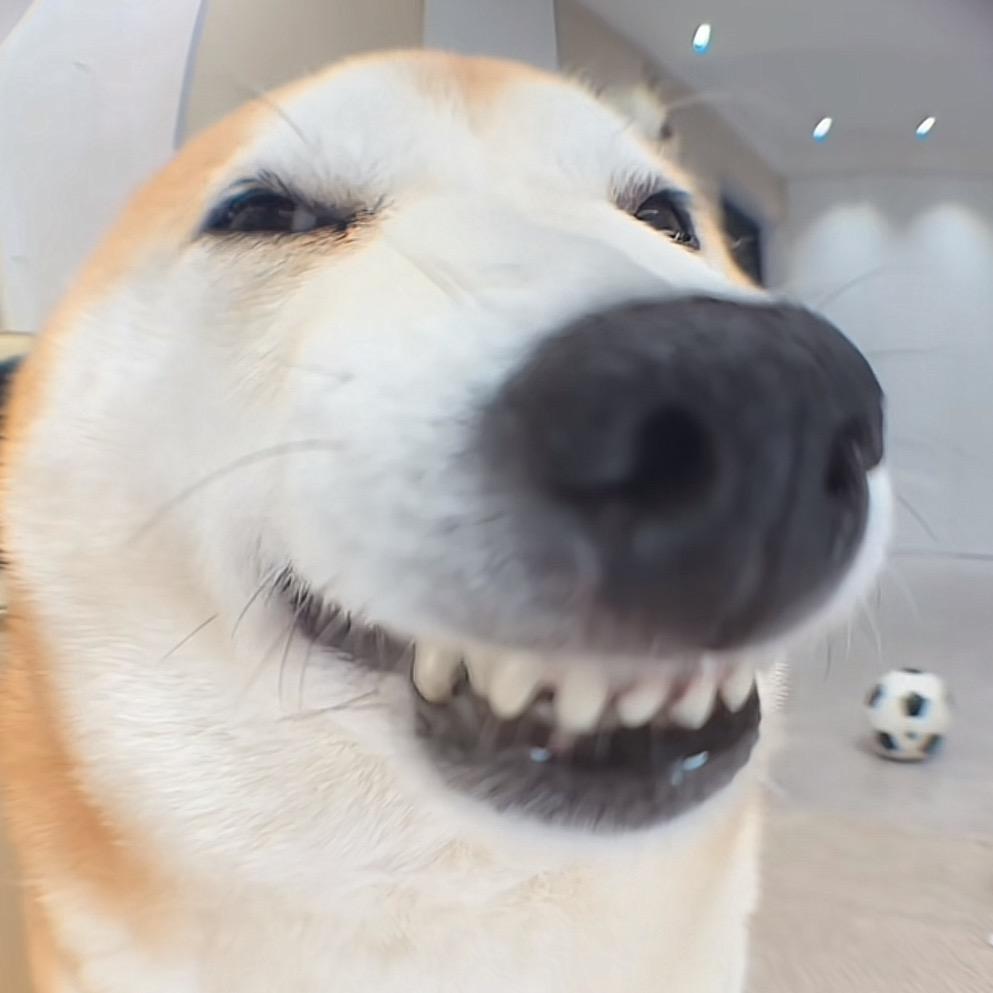 小逍不会玩（永劫无间）