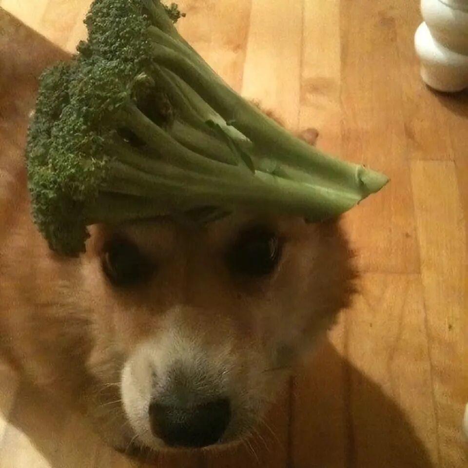 天渐冷