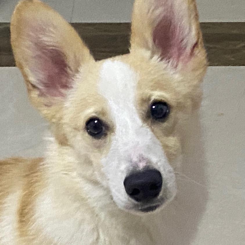 聚乐福超市福利号