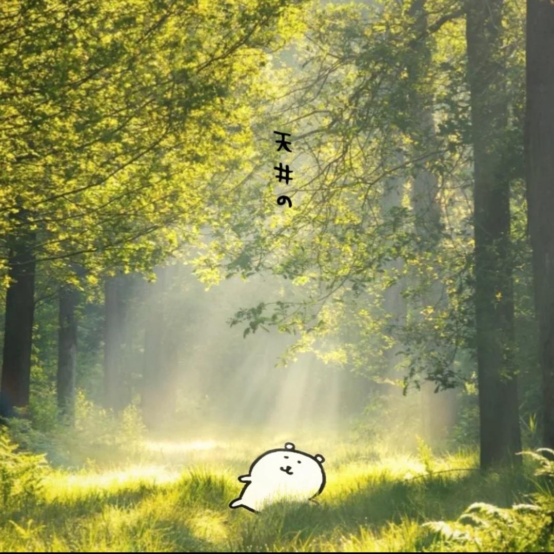 岑岑岑