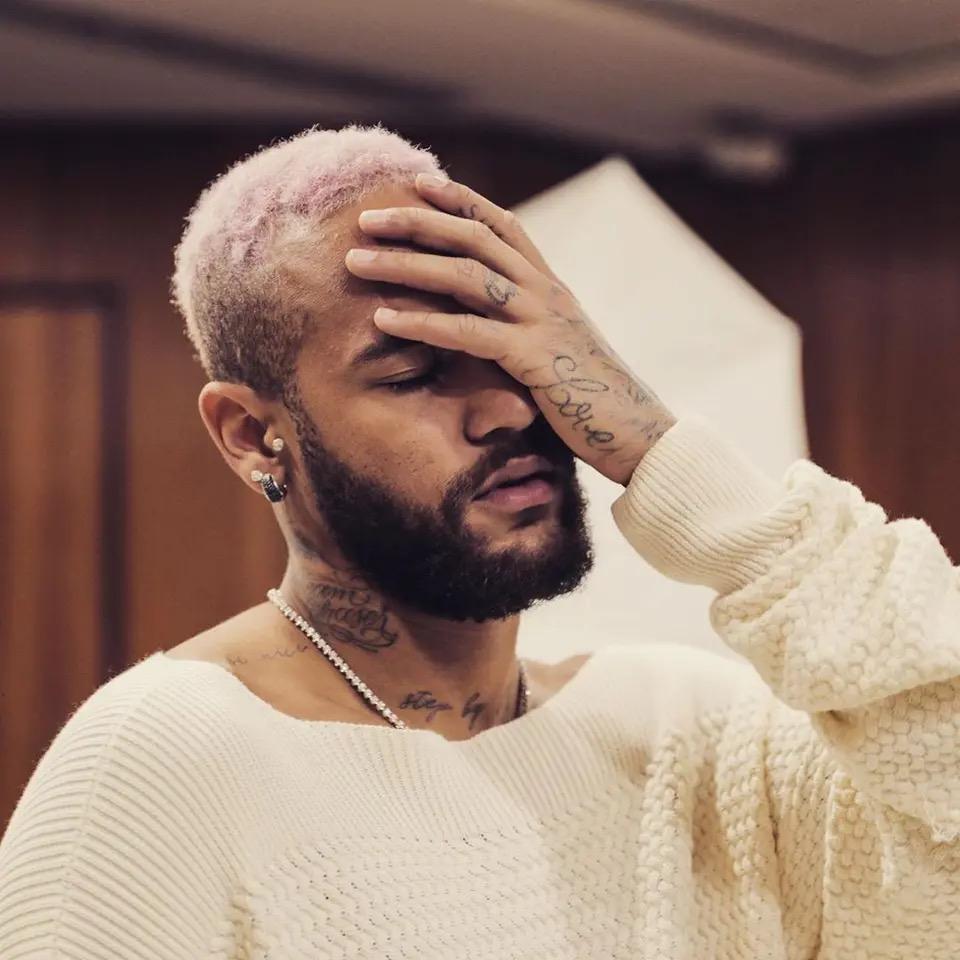 被辐射过的野鸡