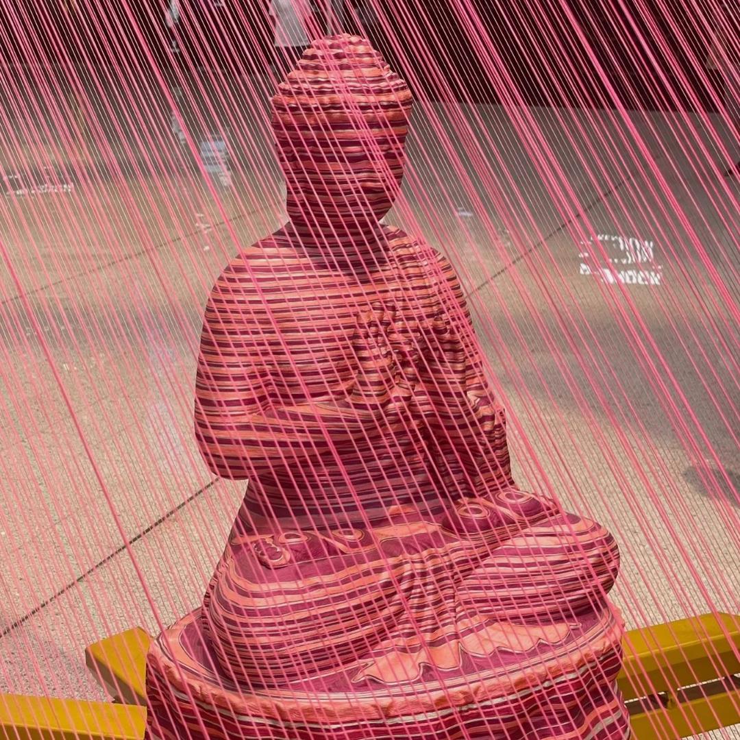 生命智慧
