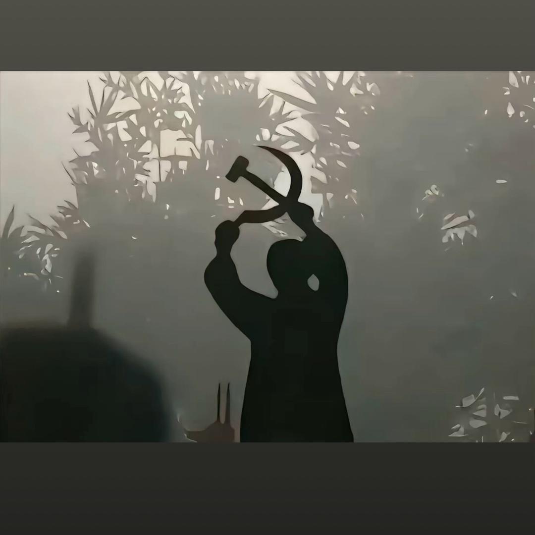 一只白鹭