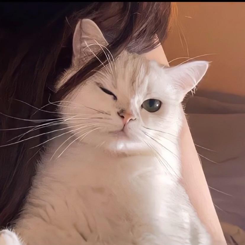 如意。