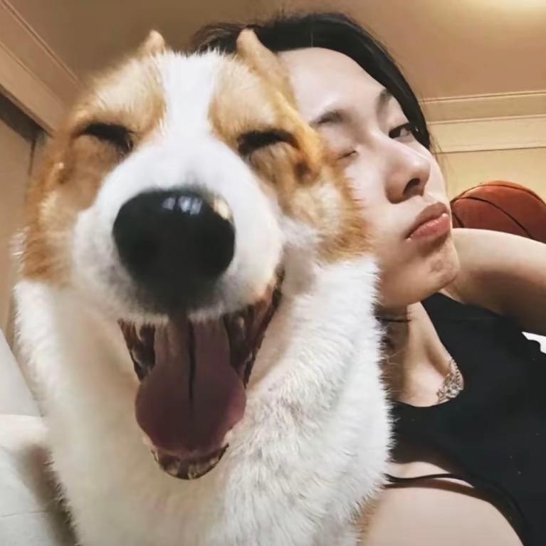 小橙子🐍