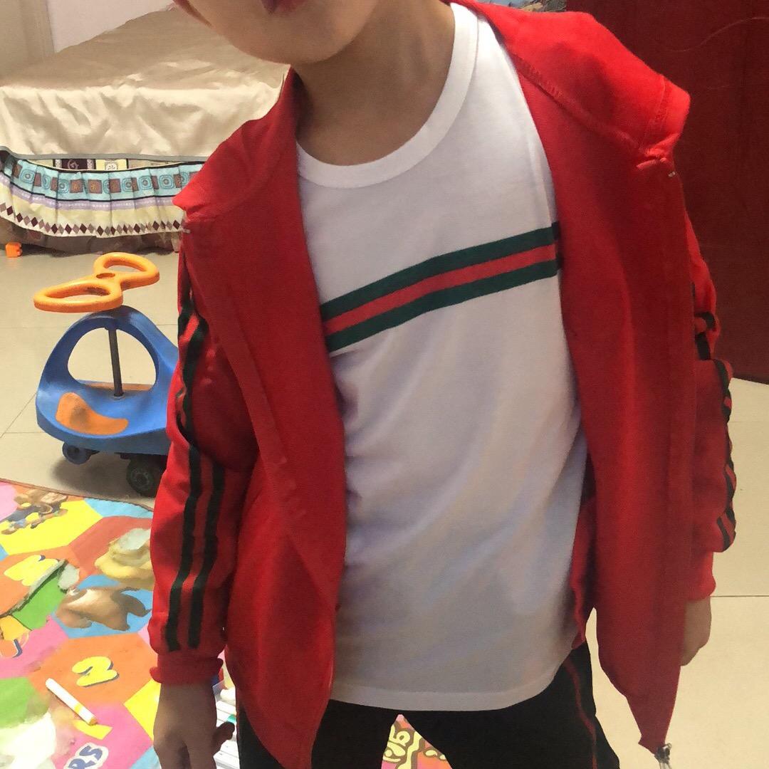 泽泽
