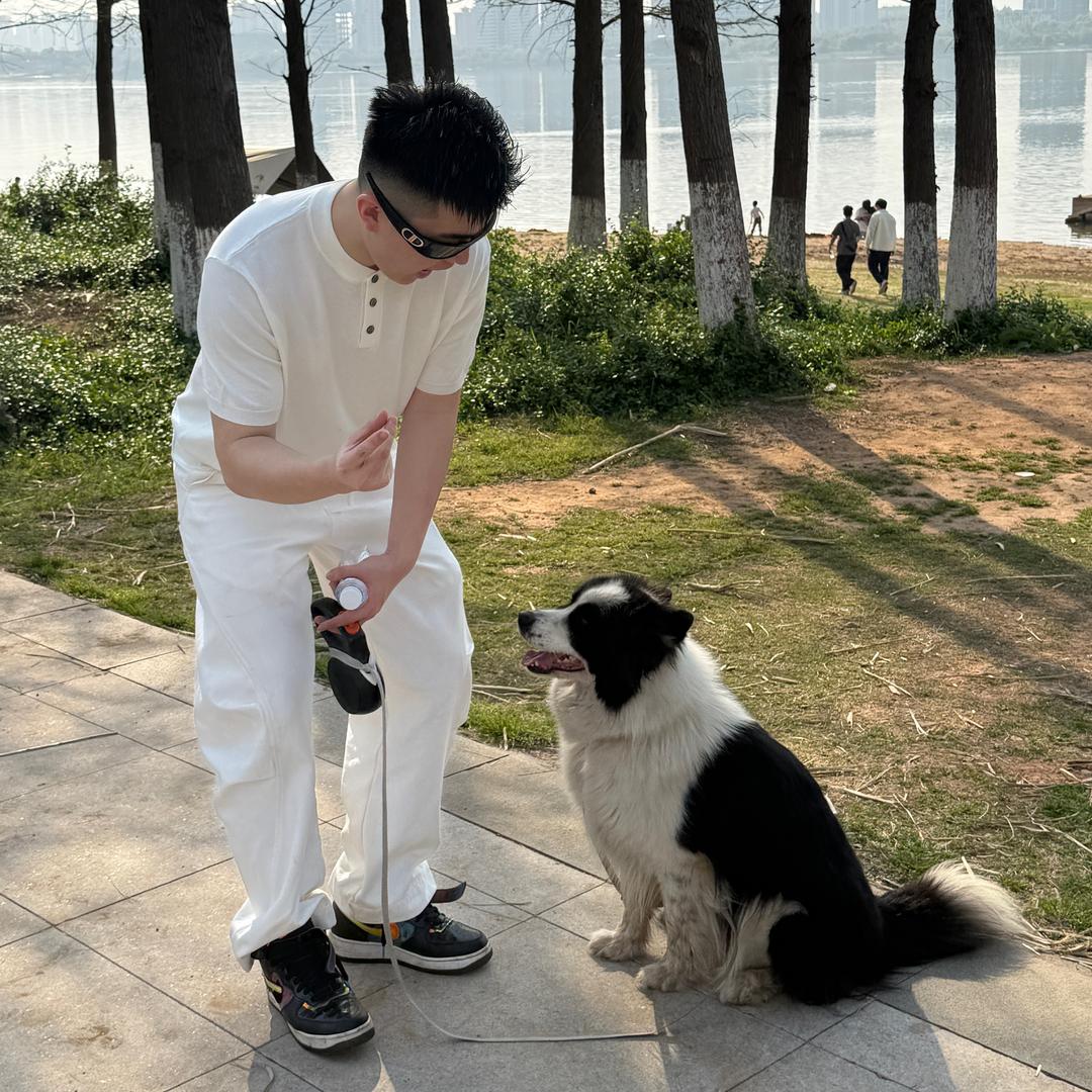 心如止水