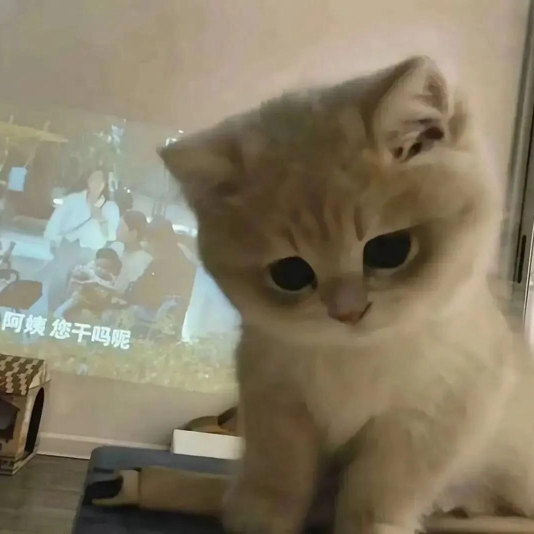 你念我名字干嘛