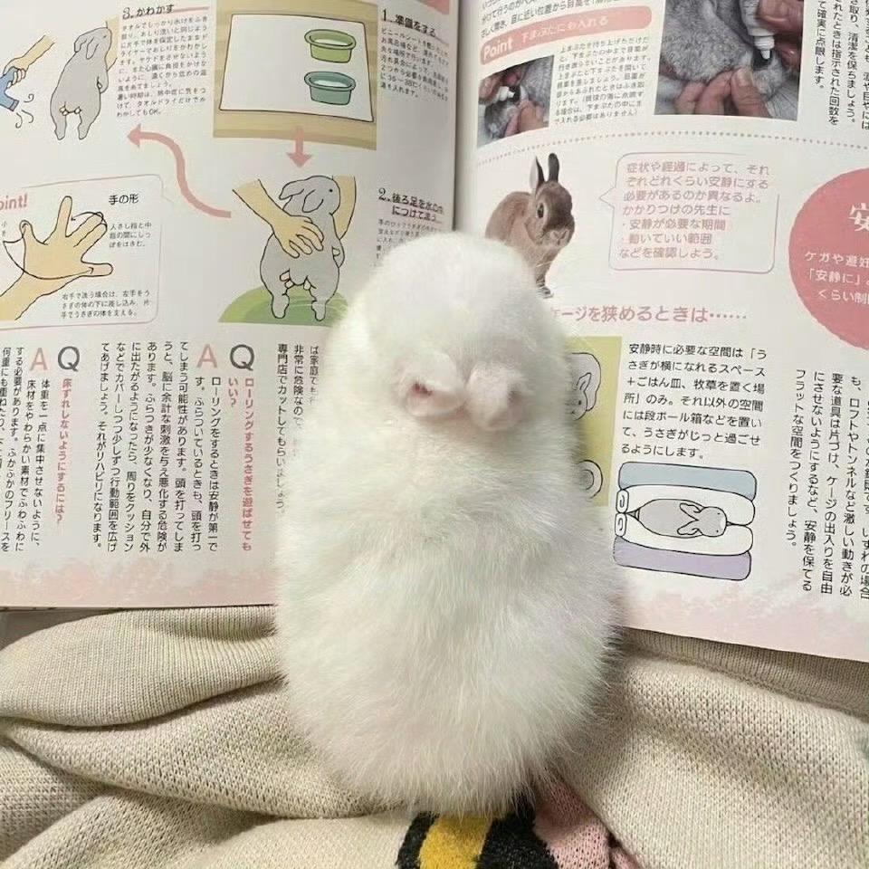 vD睡一觉啊啊