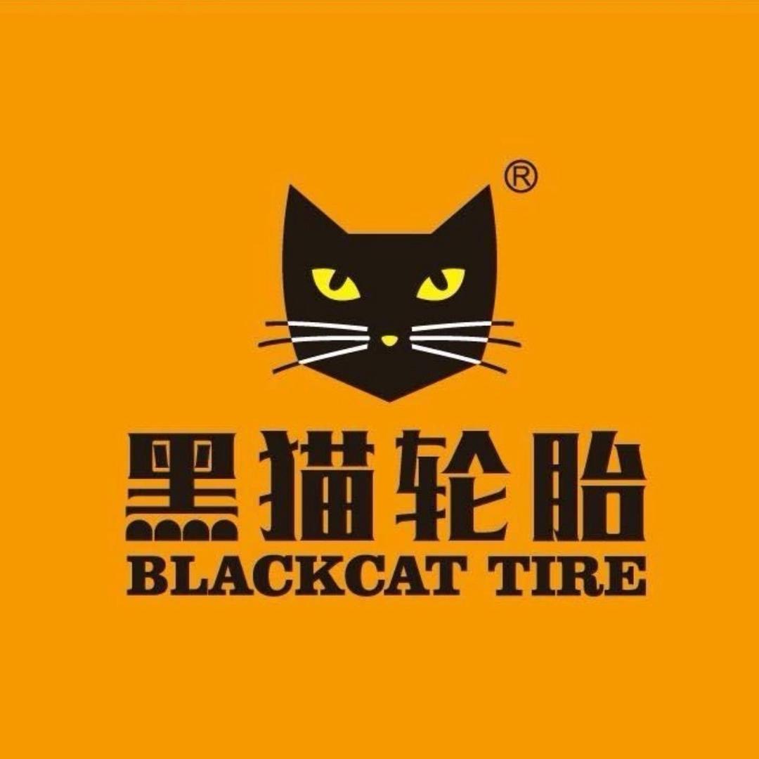 广通电动车配件路源电池新诺力电池黑猫轮胎