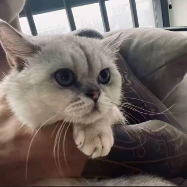 云