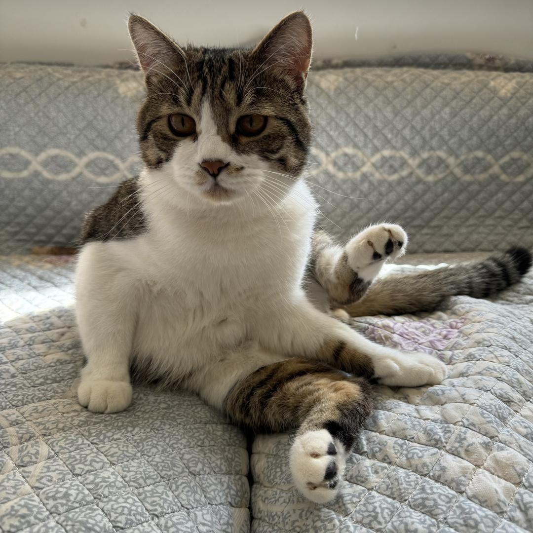 @小崽儿是只🐶