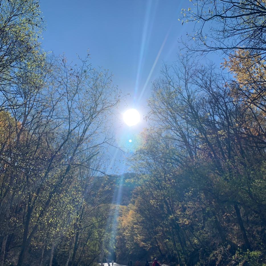 南风未起知我意