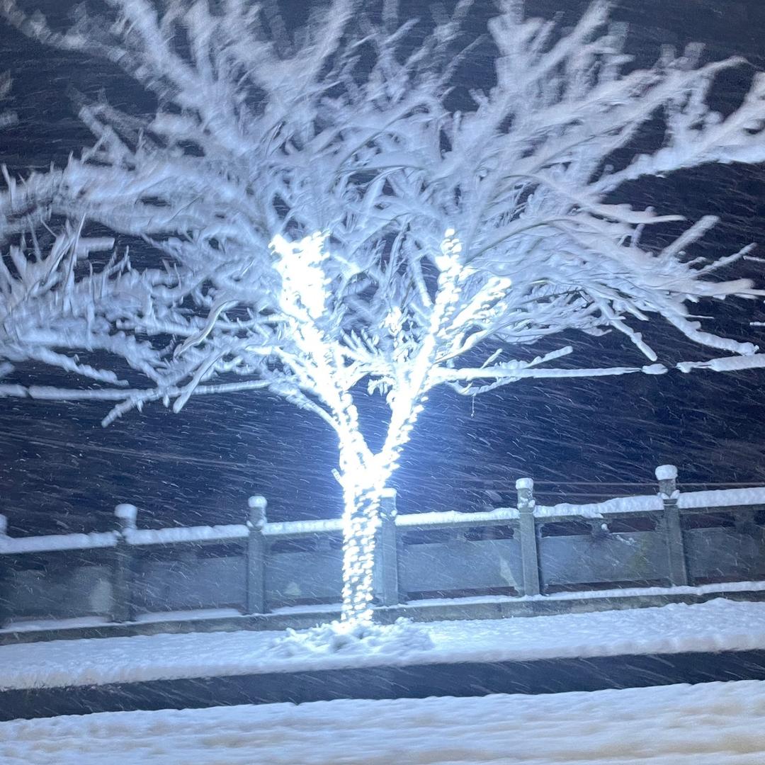 波锅