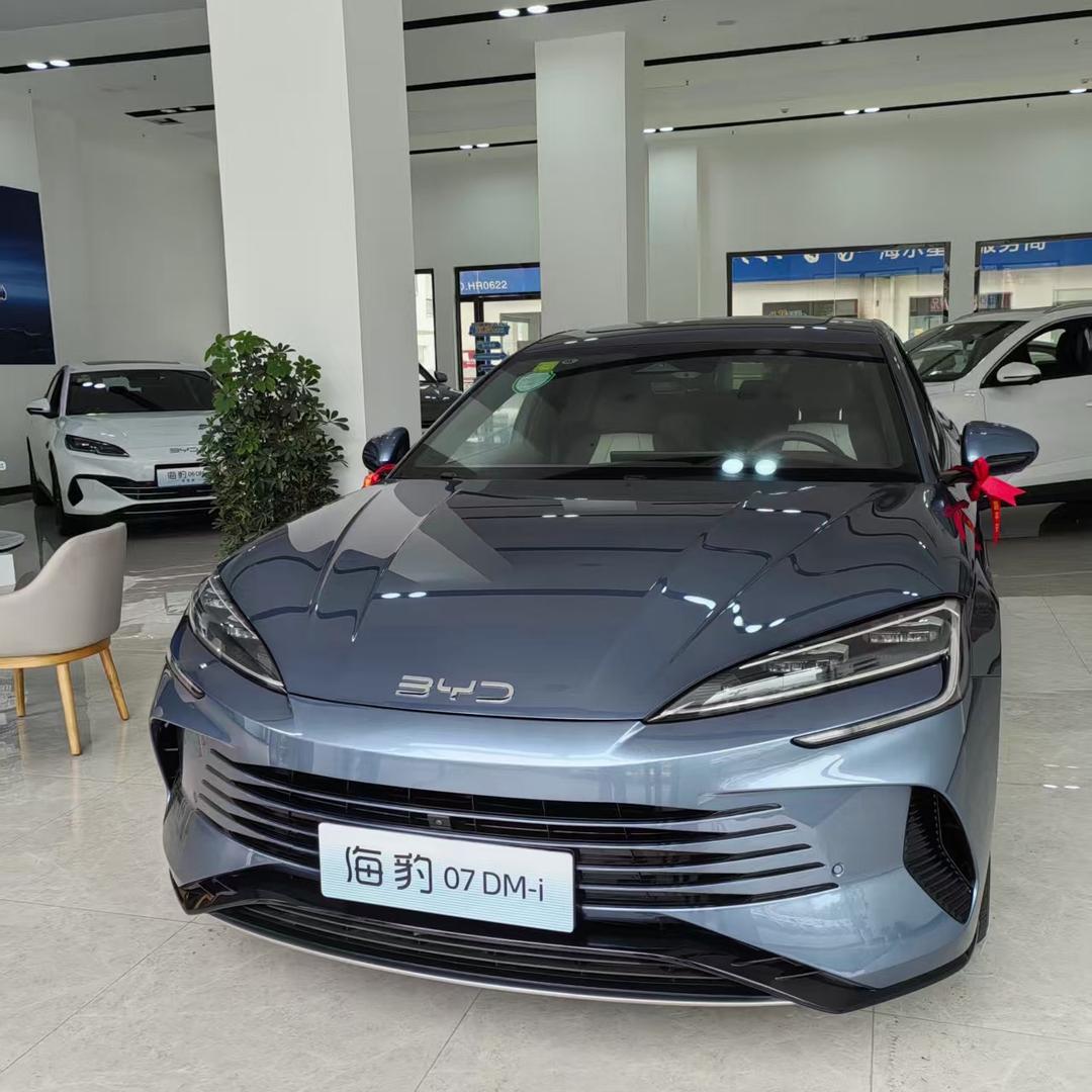 比亚迪海洋（宣汉新锐意恒）