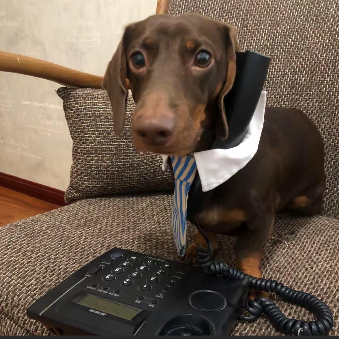 我再也不要喜欢你了