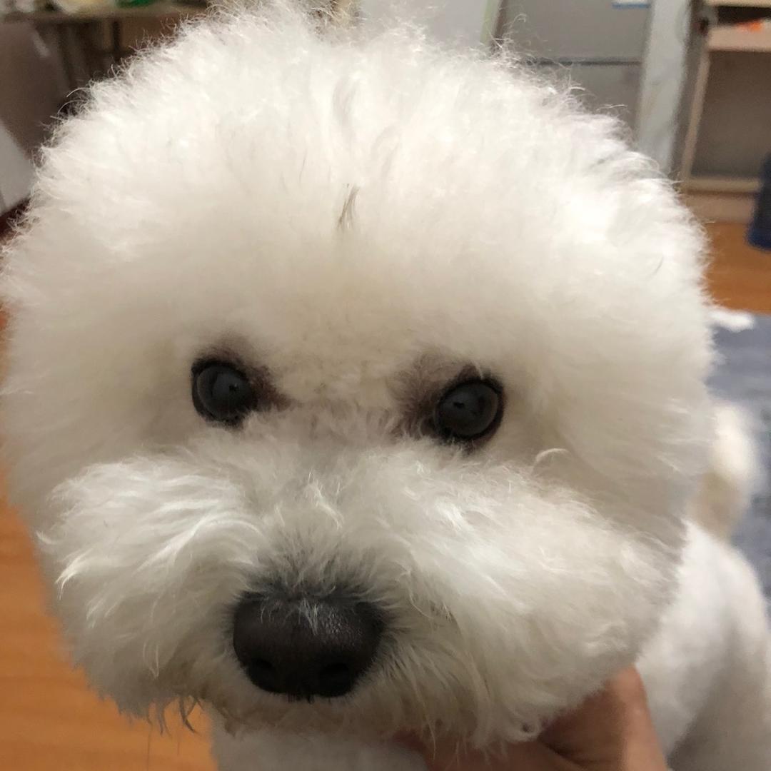 要凶没凶还凶