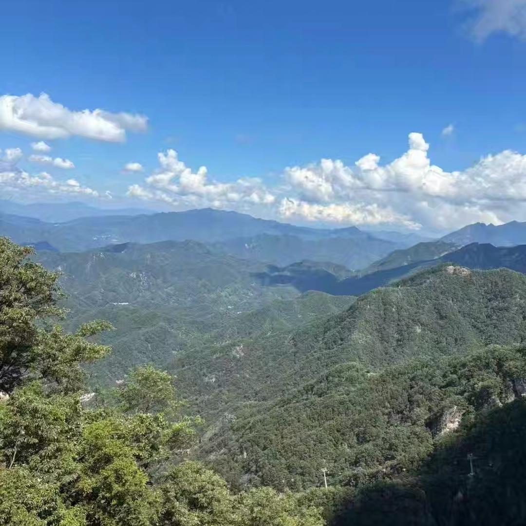 李阿姨