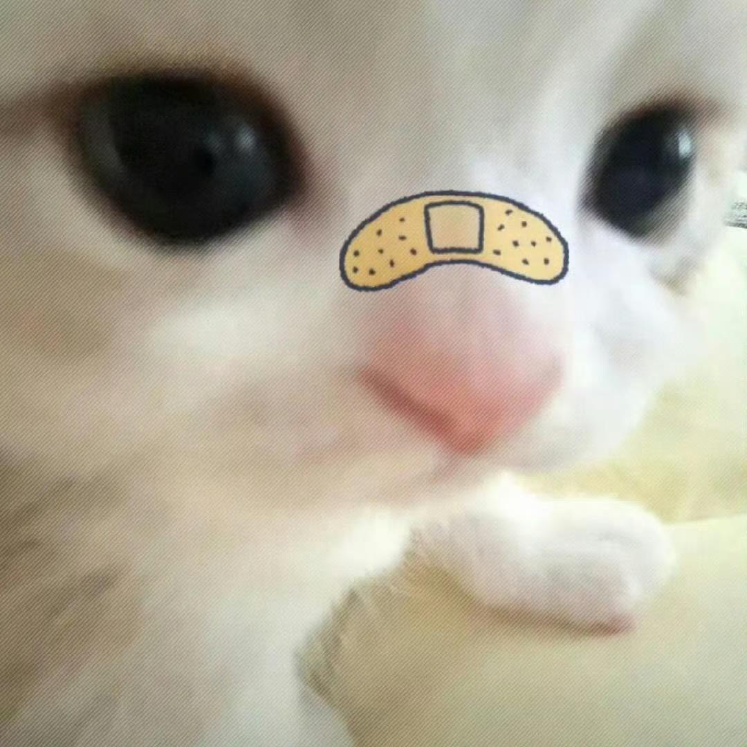 小鱼汁