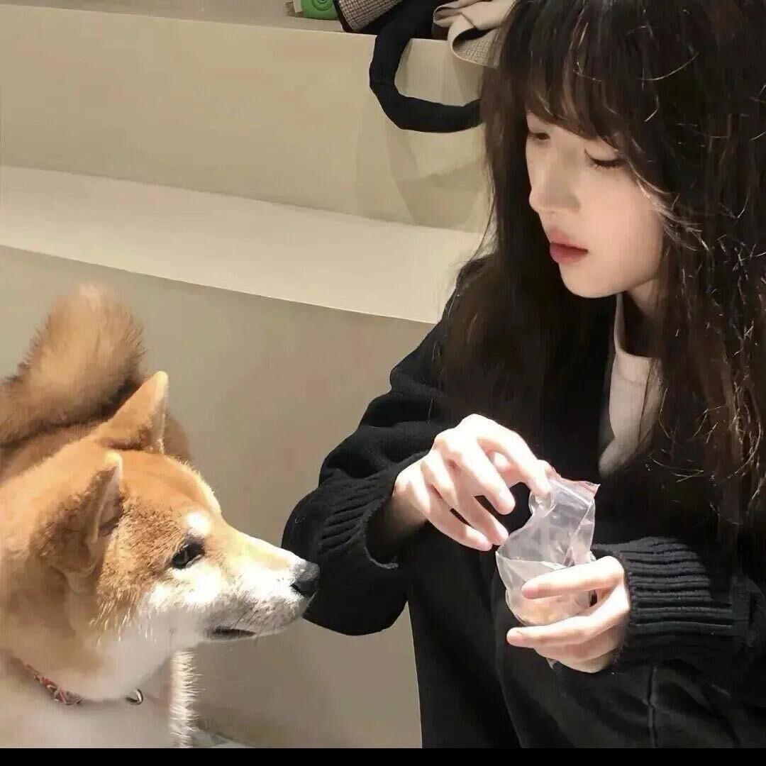 释怀£