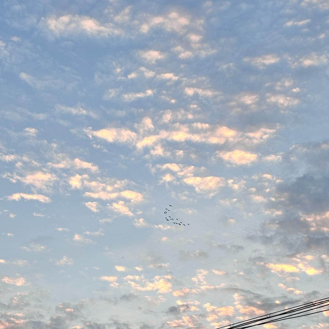 71401150217