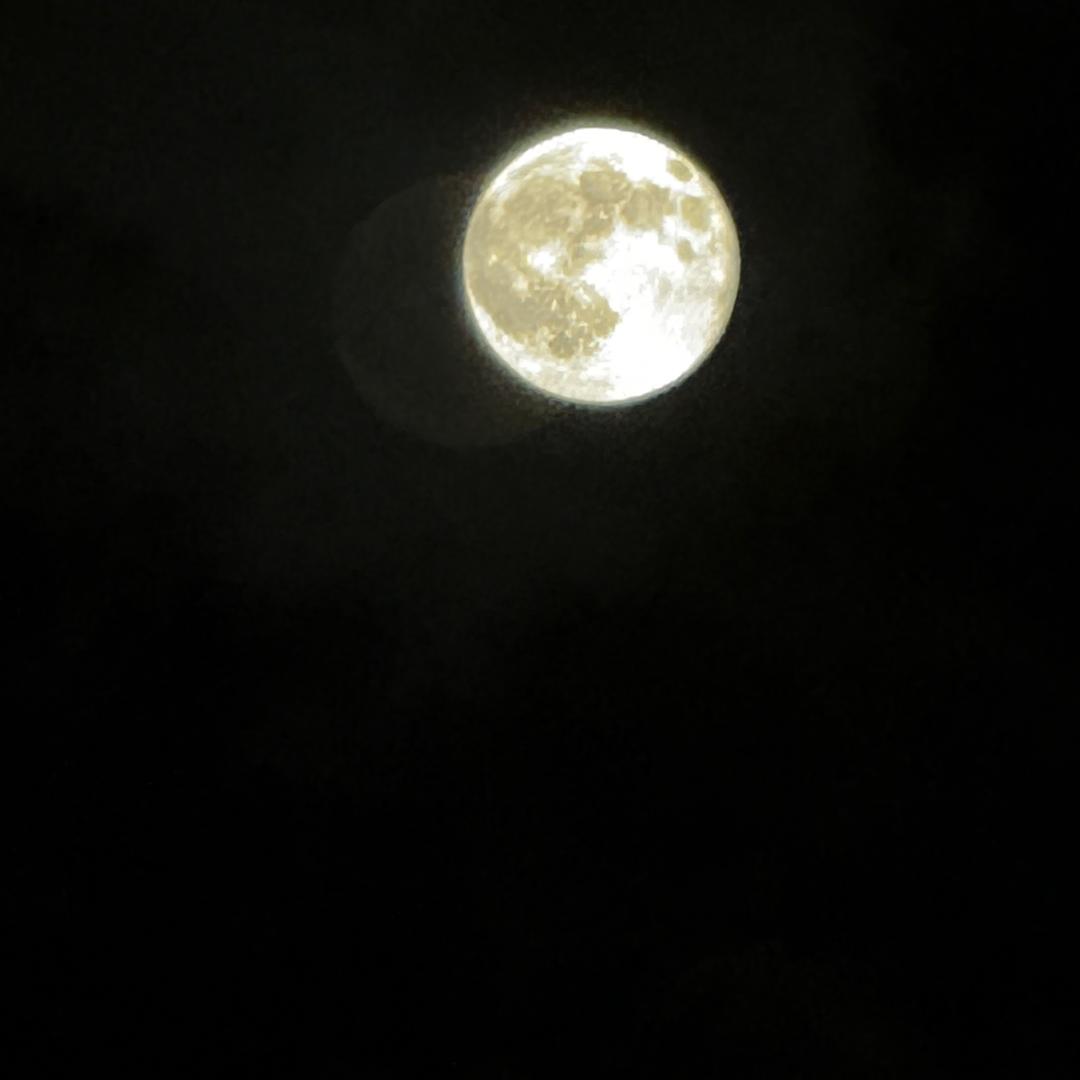 可爱超膘ʚ་ྀɞ 🐣 ʚ་ྀɞ