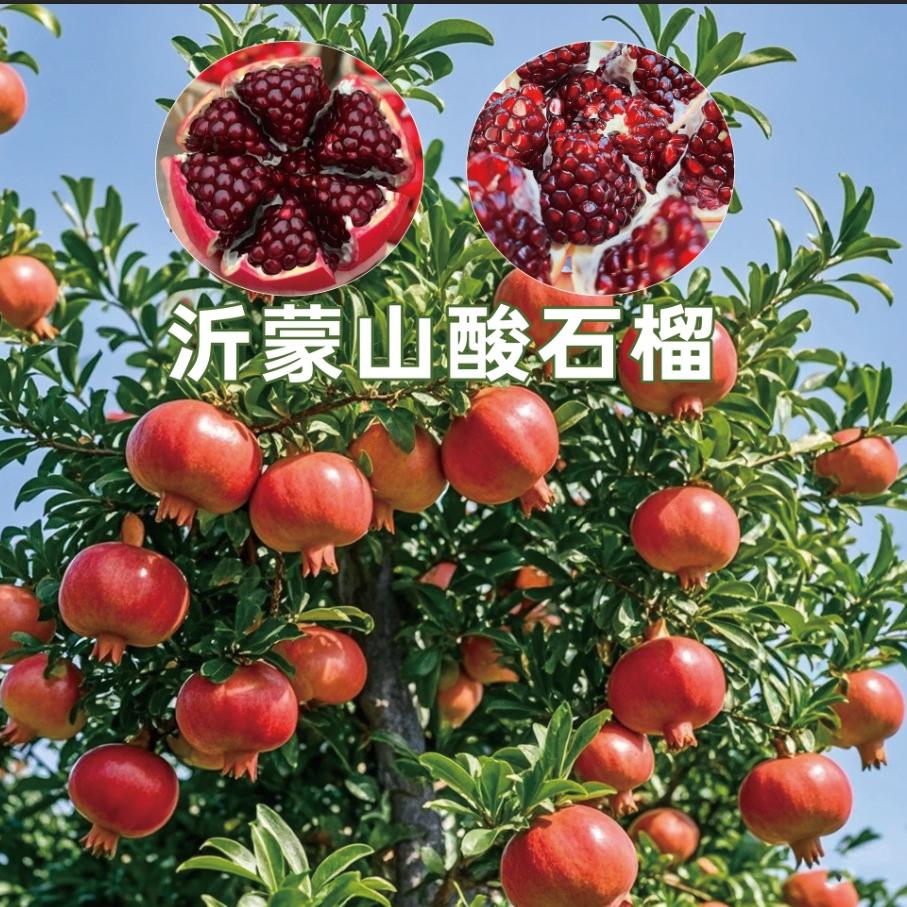花花家果园
