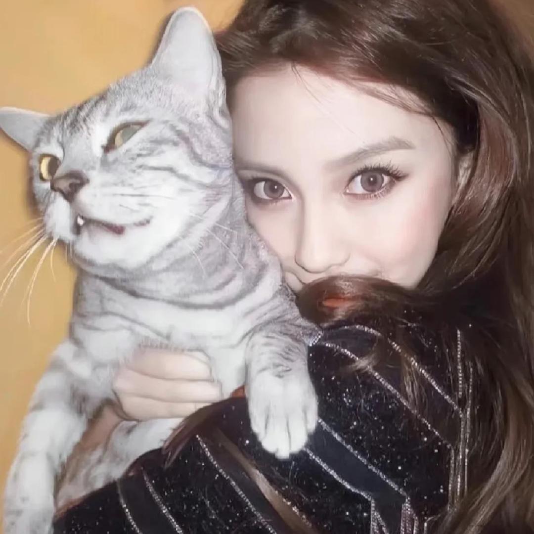 泡了个饭