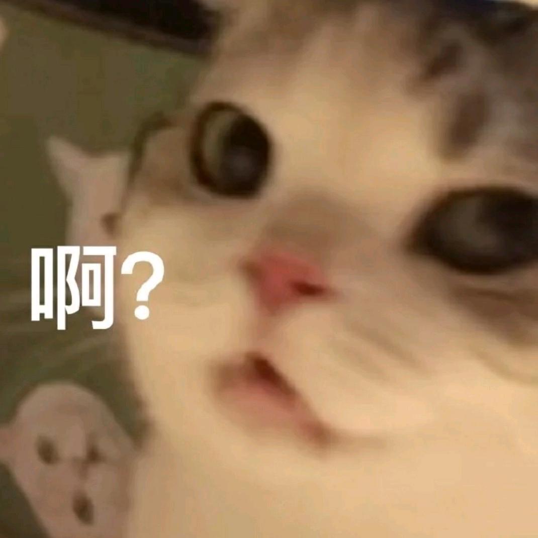 芮茜姐姐