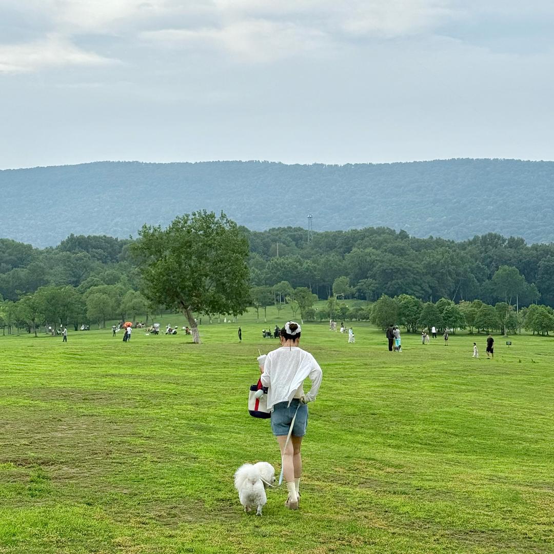 小伏偶尔会发呆