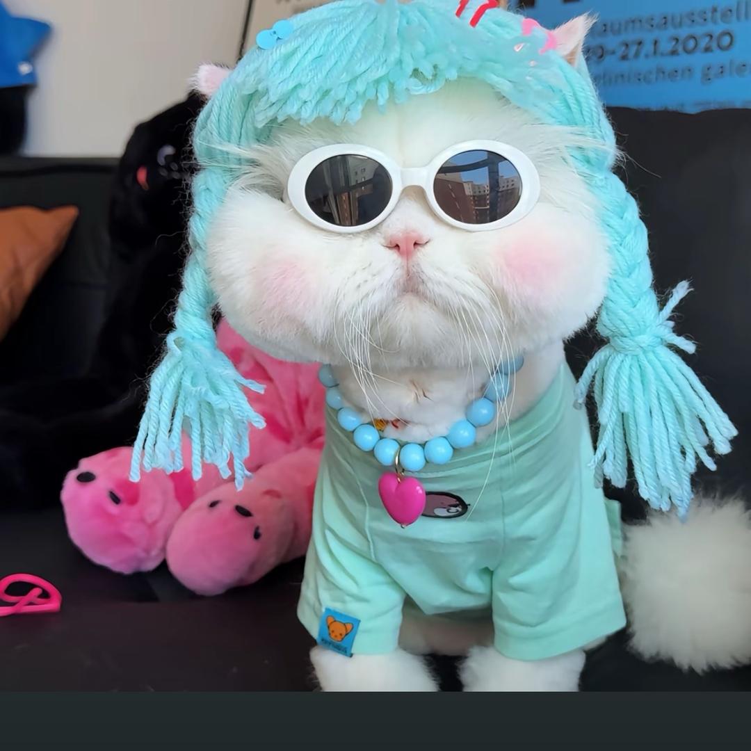 一只小梁呀