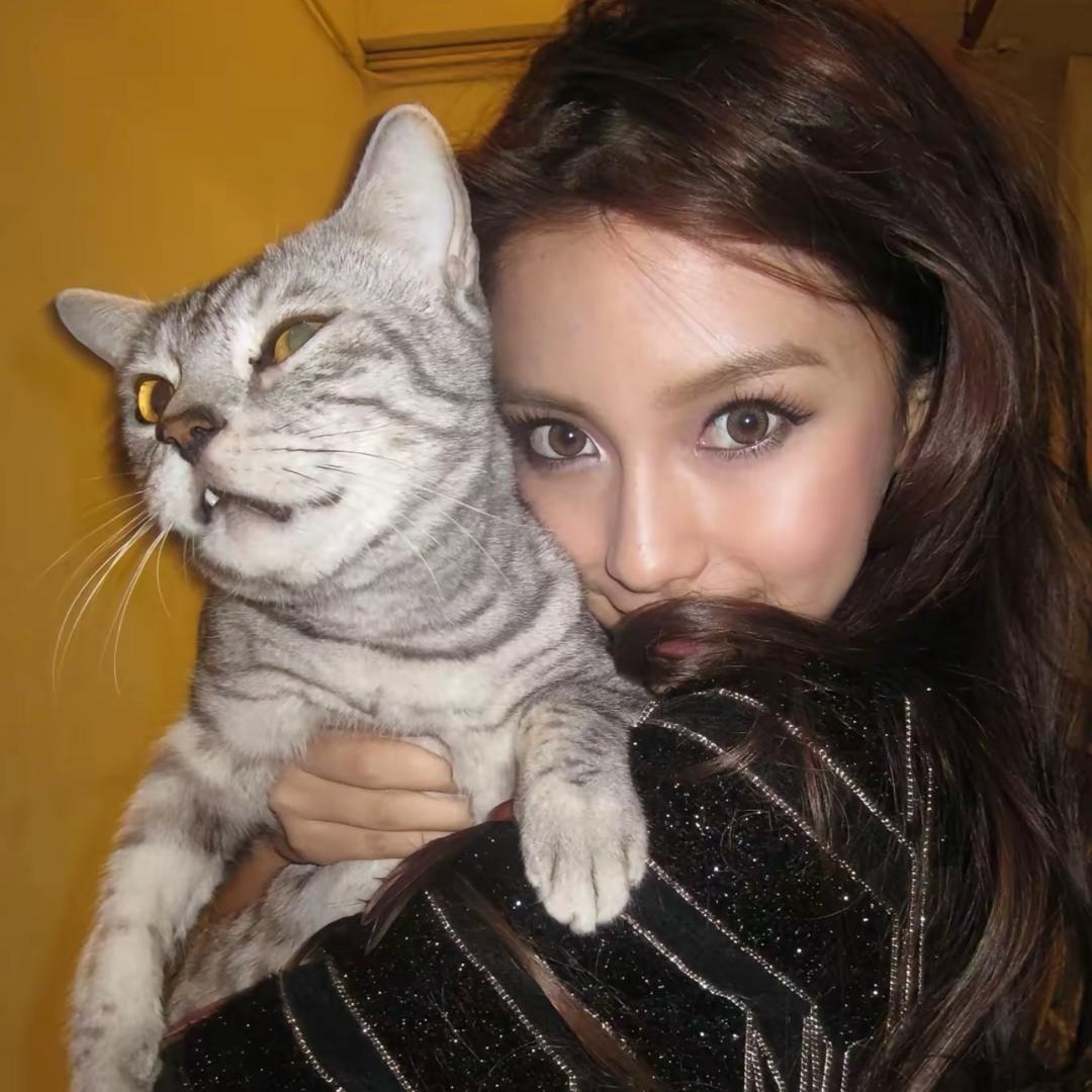 不是你的猫