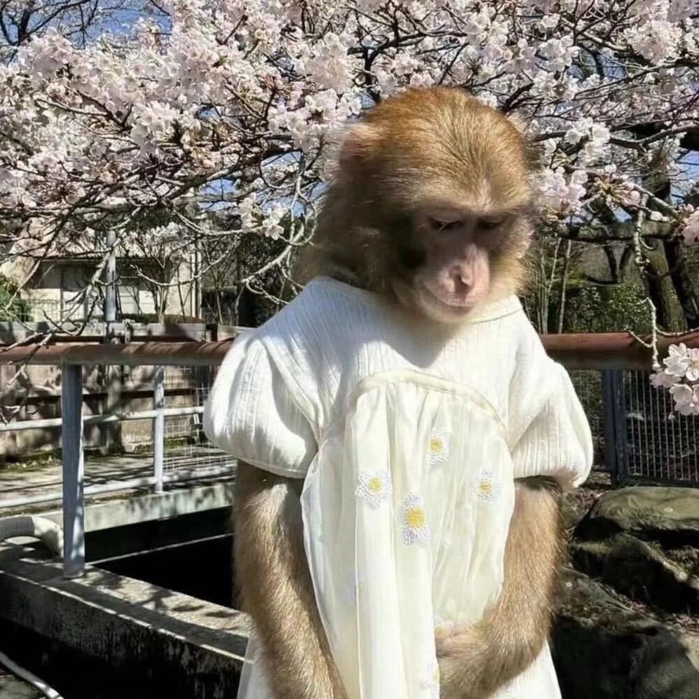 别打了我是酱油