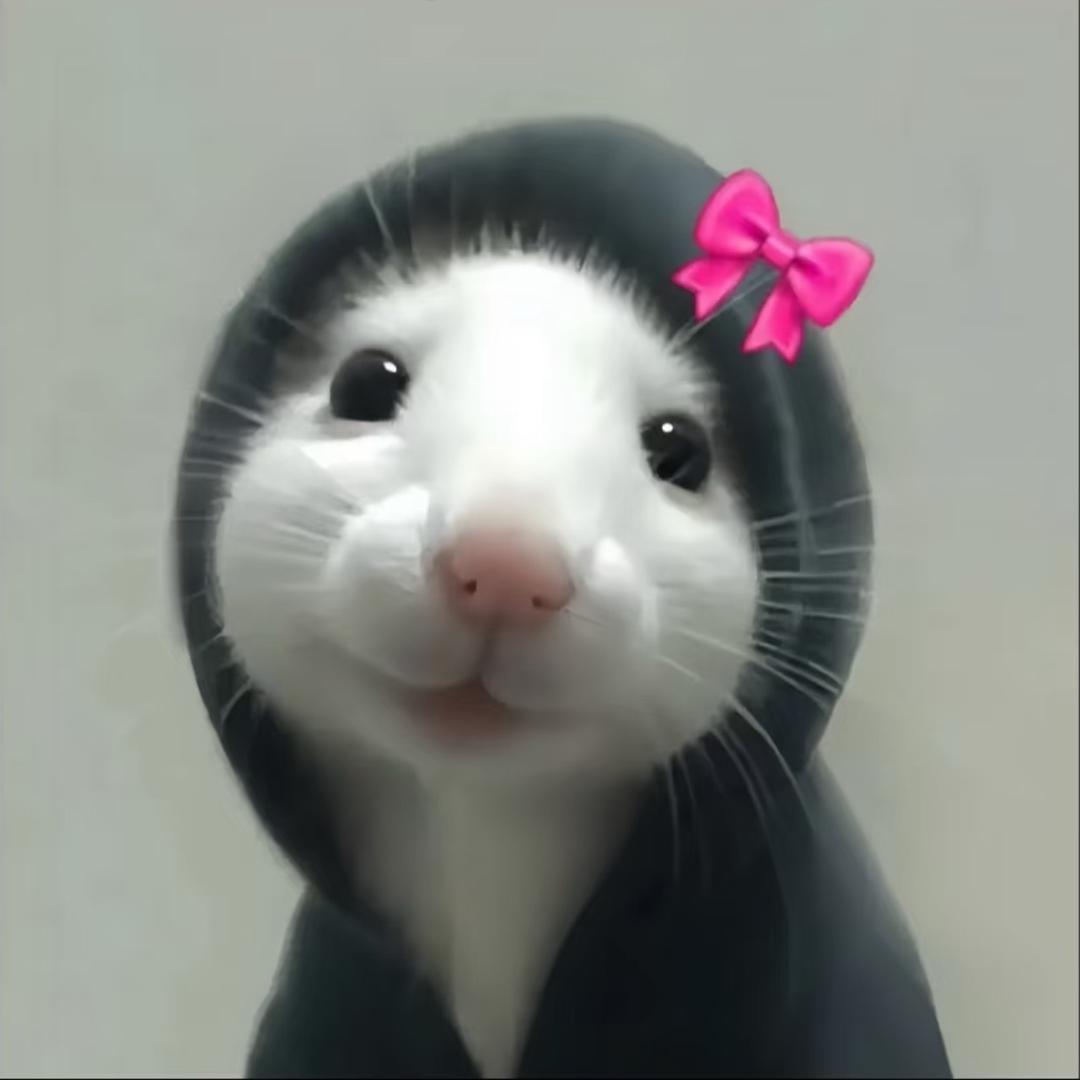 Lvvv