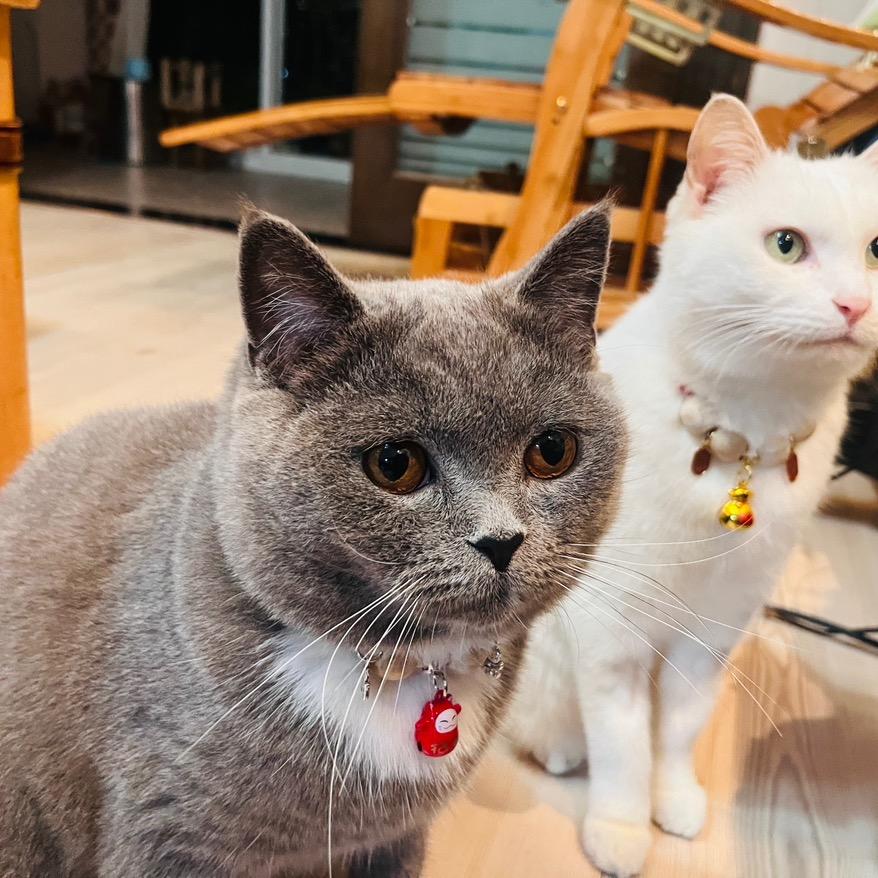 沐林泉～路要慢慢走