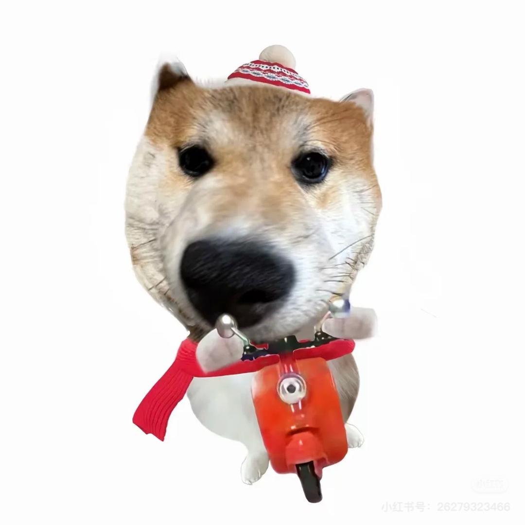 萌萌桑