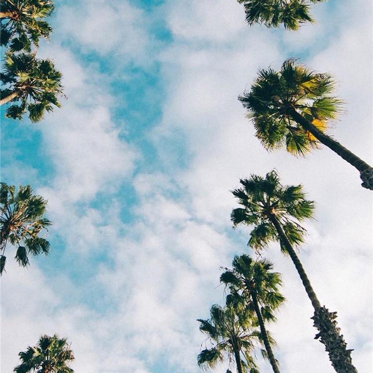 一杯热可可