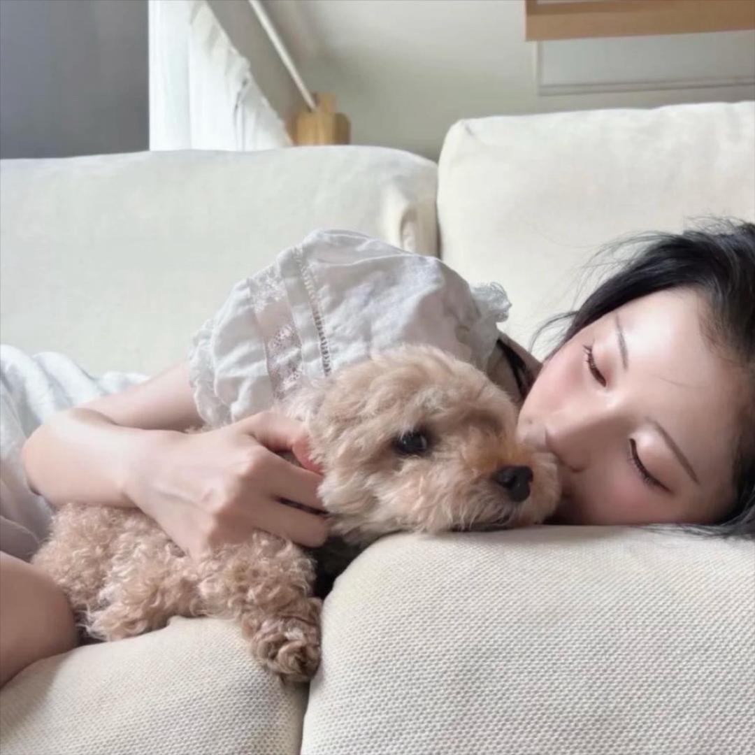 不过尔尔.
