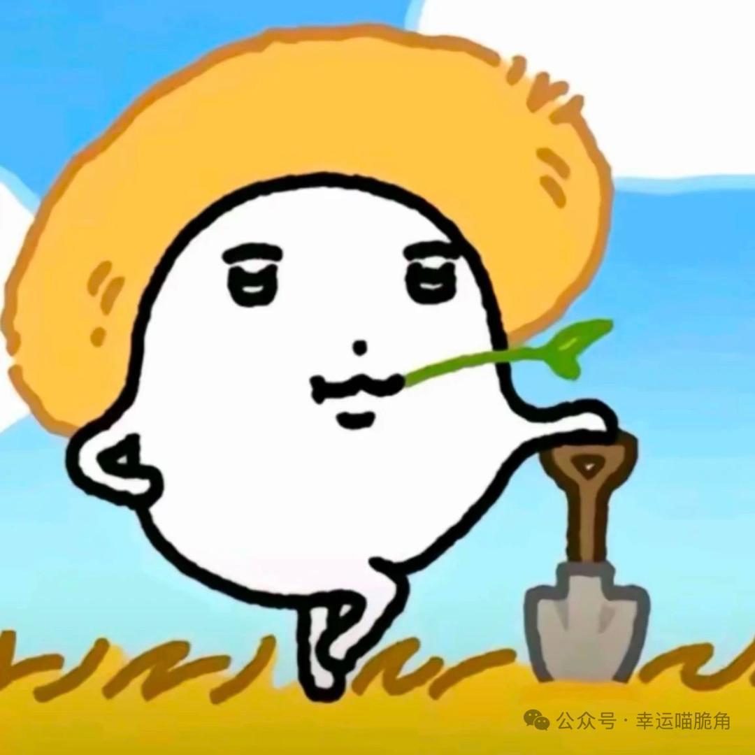 狗狗教老大