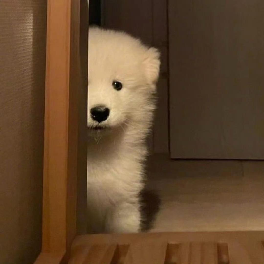 草莓味小啵