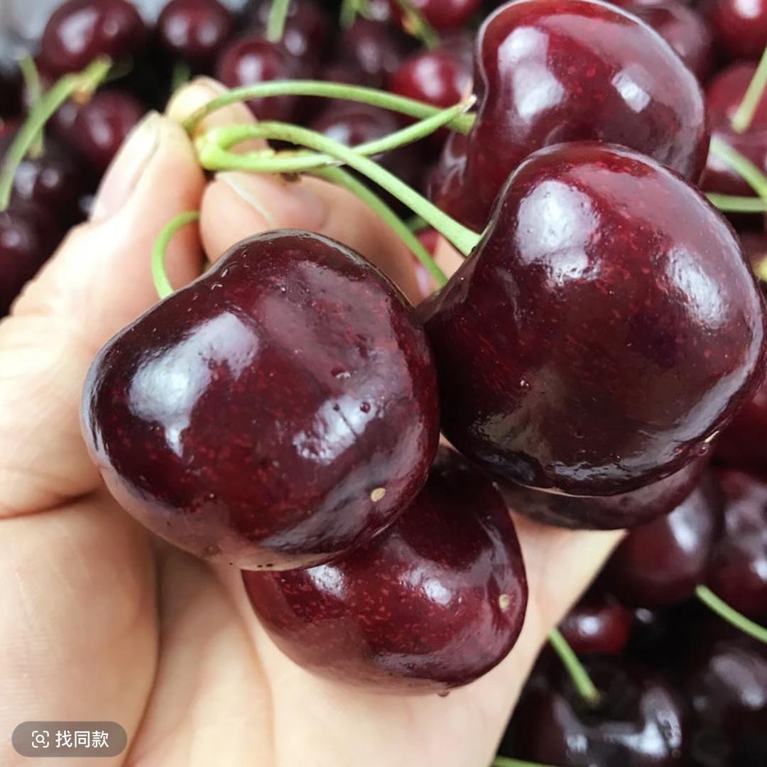 聚泰果品生鲜仓(临沂仓)11