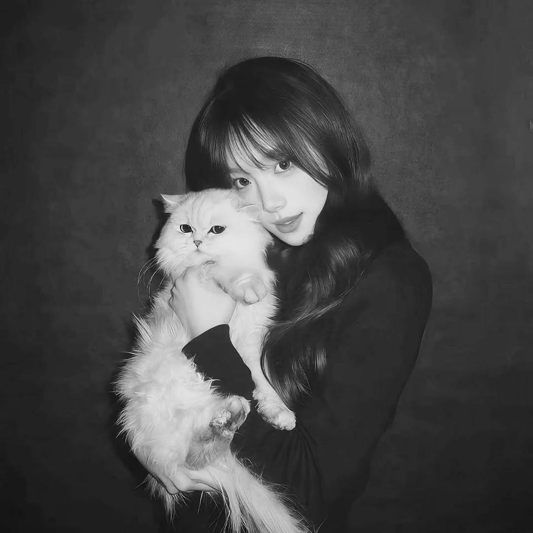 今天一定吃早餐