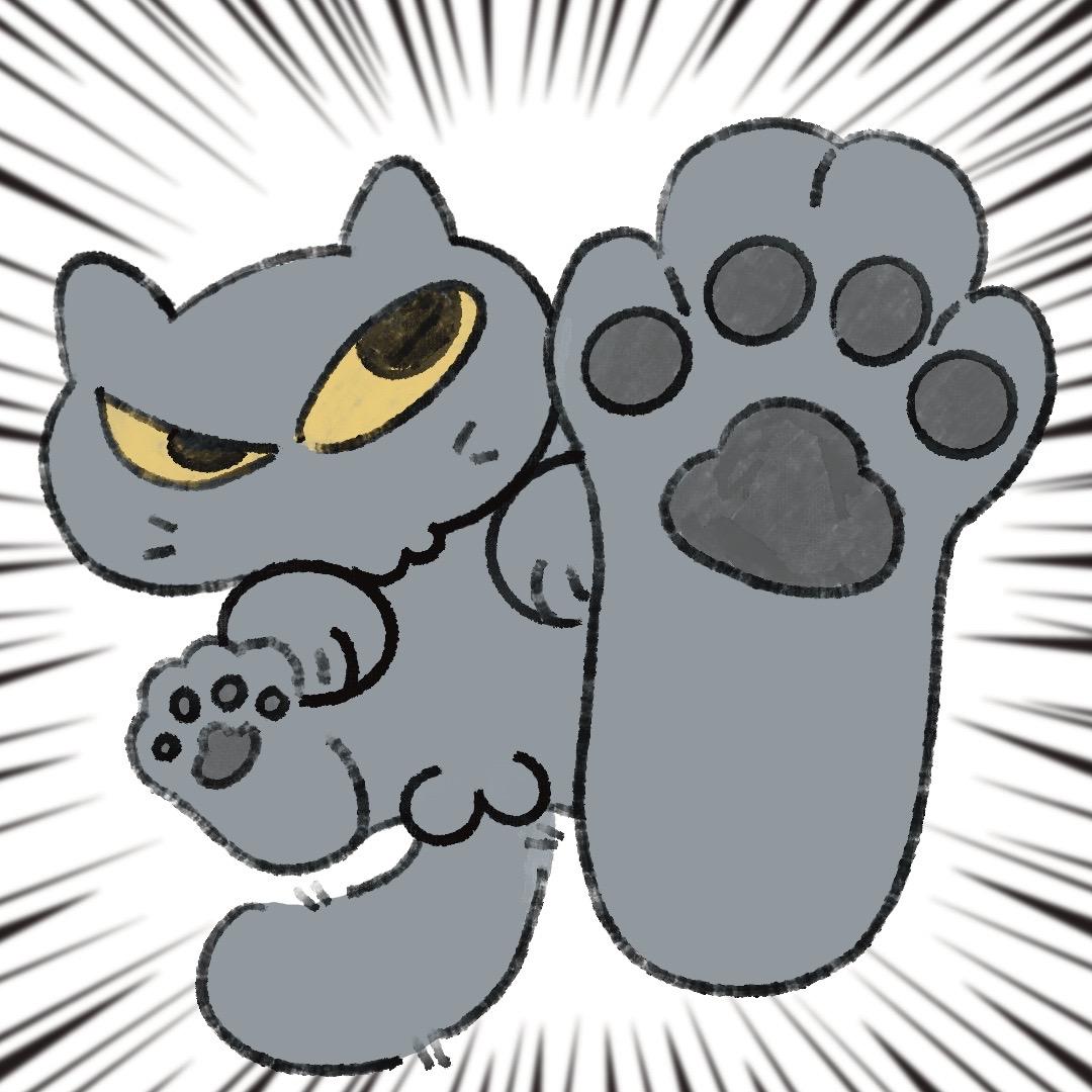 呆猫元宝的日常