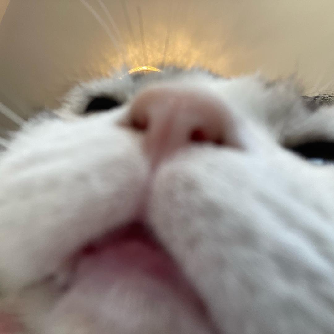 江笙