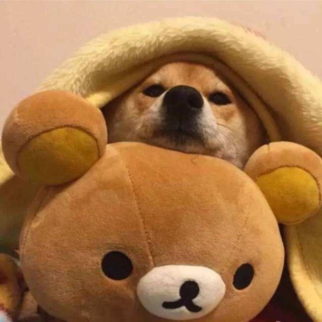 劫隆