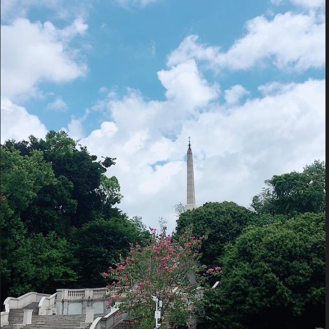 青青河边草🐐🐐